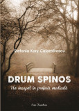 Drum spinos | Stefania Kory Calomfirescu, 2019