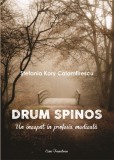 Drum spinos | Stefania Kory Calomfirescu, Ecou Transilvan