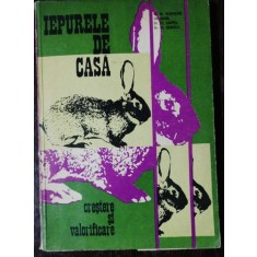 IEPURELE DE CASA - CRESTERE SI VALORIFICARE -AL.GEORGEONI,/GH.IACOB/.FR.KAPPEL / AL .DASCALU