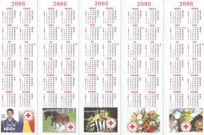 Romania, Societatea Nationala de Cruce Rosie, lot 1cu 5 calendare orar, 2008 foto