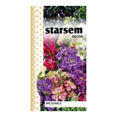 Seminte flori Starsem, micsunele duble foto