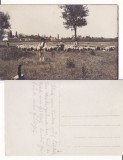 Sihlea , Sihlele (Vrancea) - militara WWI, WK1, Necirculata, Printata