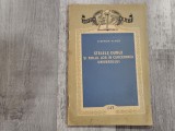 Stelele duble si rolul lor in cercetarea universului de Stefania Vlaicu