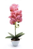 Cumpara ieftin Orhidee artificiala siliconata cu aspect 100% natural, in bol de ceramica alb