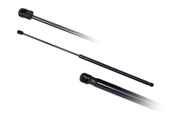 Amortizor Portbagaj 142963 56305