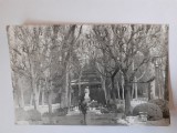 Fotografie dimensiune CP cu un bărbat &icirc;n parc
