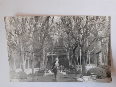 Fotografie dimensiune CP cu un bărbat &amp;icirc;n parc foto