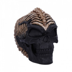 Statueta craniu Spine Head 18cm foto