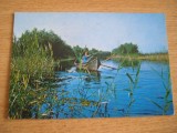 QW24 D - Carte postala - tematica turism - vedere - Delta Dunarii 2, Circulata, Fotografie, Tulcea