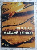 Jan Guillou - Madame Terror