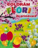 Coloram flori de primavara - Autor Anonim