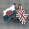 AX 292 INSIGNA- DRAPELELE TARII GALILOR SI MARII BRITANII