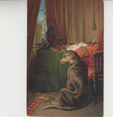 D11 A 59 - Felicitare de colectie - anii 1930 foto
