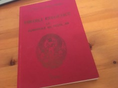 PR. PROF. VASILE MIHOC, PREDICI EXEGETICE LA DUMINICILE DE PESTE AN