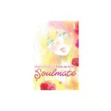 Kimi Ni Todoke: From Me to You: Soulmate, Vol. 1