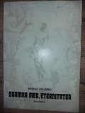 Doamna mea, eternitatea- Horia Zilieru CU AUTOGRAF