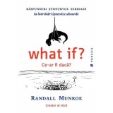 What if? Ce-ar fi daca? - Randall Munroe