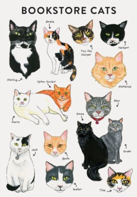 Bibliophile Flexi Journal: Bookstore Cats foto