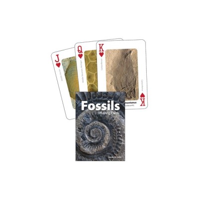 Fossils Playing Cards foto