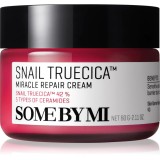 Some By Mi Snail Truecica Miracle Repair crema calmanta si hidratanta 60 g