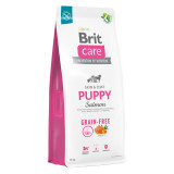 Brit Care Grain-Free Puppy, XS-XL, Somon, hrană uscată fără cereale c&acirc;ini junior, piele &amp; blană, 12kg