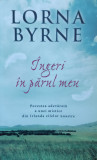Ingeri In Parul Meu - Lorna Byrne ,558114, 2014