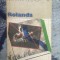 n1 Rolanda - Herman Teirlinck