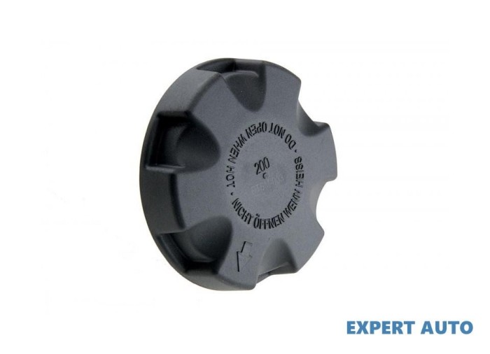 Capac radiator BMW X6 (2008->) [E71, E72] #1