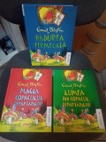 Enid Blyton: Pădurea fermecată I-III