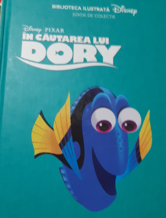 IN CAUTRAREA LUI DORY