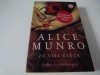 Zu viel Gluck - Alice Munro