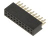 &#039;Conector Vertical DIL Femelă 10x10&#039;