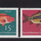 GERMANIA 1964 FAUNA MARINA PESTI SERIE MNH