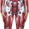 Pentru Cosplay Muschi Body Costum Pentru Adulti Unisex - Salopeta Spandex Stretc