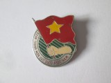 Vietnamul de Nord insigna colectie:Uniunea Nationala a Tineretului din Vietnamul de Nord anii 60, Asia