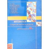 MATEMATICA: CULEGERE DE EXERCITII SI PROBLEME PENTRU CLASA A XI-A-M. TENA, M. ANDROMACHE SI COLAB.-358054