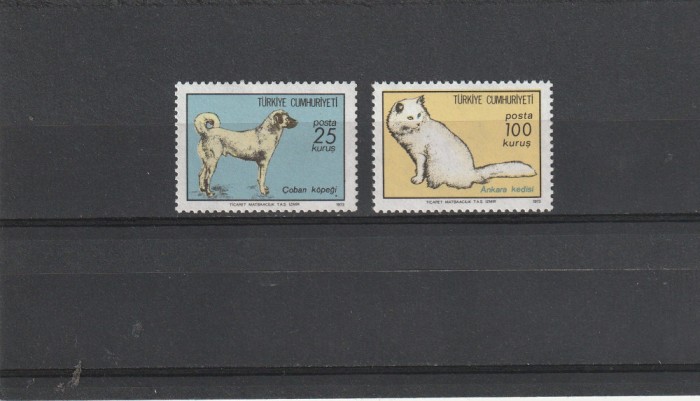 Fauna ,caini pisici,Turcia.