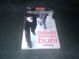 BOGDAN TEODORESCU - BAIETI APROAPE BUNI