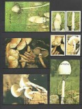 GUYANA 1990 CIUPERCI