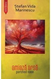 Amiaza arsa. Parched noon - Stefan Vida Marinescu