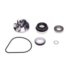 Pompa Apa Scuter Honda Phanteon 125cc 150cc Kit Reparatie