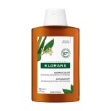 KLORANE Galanga Shampoo &ndash; Șampon reechilibrant anti-mătreață cu galanga, 400 ml