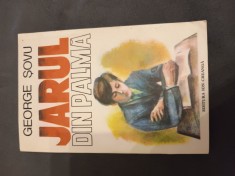 Jarul din palmă de George Șovu