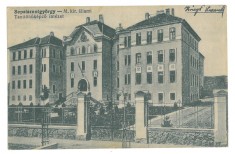 2610 - SF. GHEORGHE, Covasna, Romania - old postcard - used - 1917