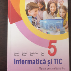 INFORMATICA SI TIC MANUAL PENTRU CLASA A V-A - Ciocaru