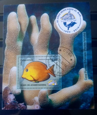 Cuba 2010 pești fauna marina , animale fauna bloc stampilat foto