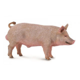Figurina porc Collecta, plastic cauciucat, 3 ani+