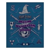 Harry Potter The Artifact Vault