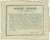 A4580N Szomor&uacute; Jelent&eacute;s, 2 darab, 1830-as &eacute;vek, Marosv&aacute;s&aacute;rhely, Borosnyai L L&aacute;szl&oacute;n&eacute; &ndash; Nemes M&aacute;ria &eacute;s Borosnyoi Luk&aacute;ts P&aacute;l, T&acirc;rgu Mureș
