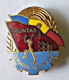 INSIGNA FRUNTAS IN MUNCA PATRIOTICA